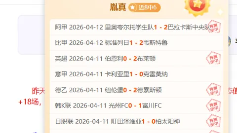 森林狼掘金G3赛况分析 专家思路解析